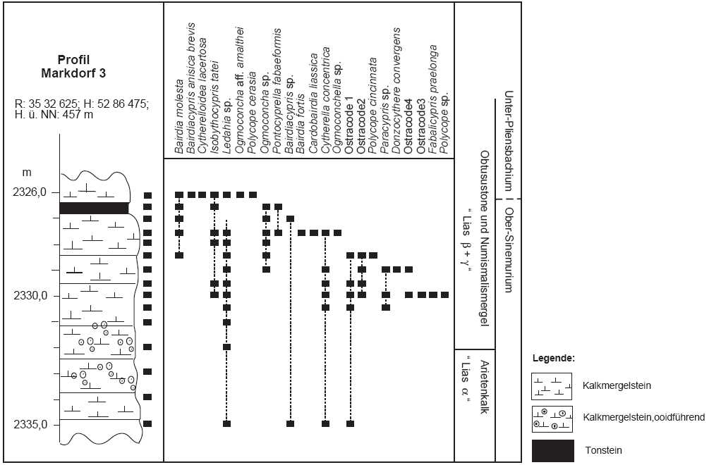 Profil Markdorf 3 (schematische Darstellung)